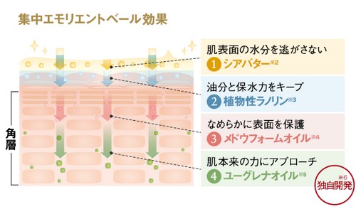 ４層ベール